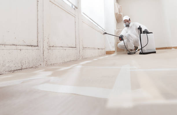 24/7 Emergency Black Mold Removal experts in Richmond, VA