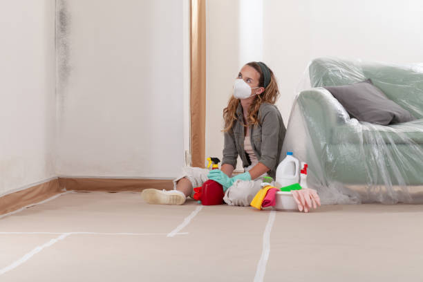 Reliable Black Mold Removal contractor in Richmond, VA by WQB Mold Removal